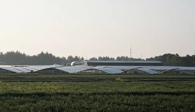 业务发展中的技术支持检查要点及优化建议
